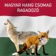 Foxpro hanghívó programozás, magyar hangokkal, kis csomag